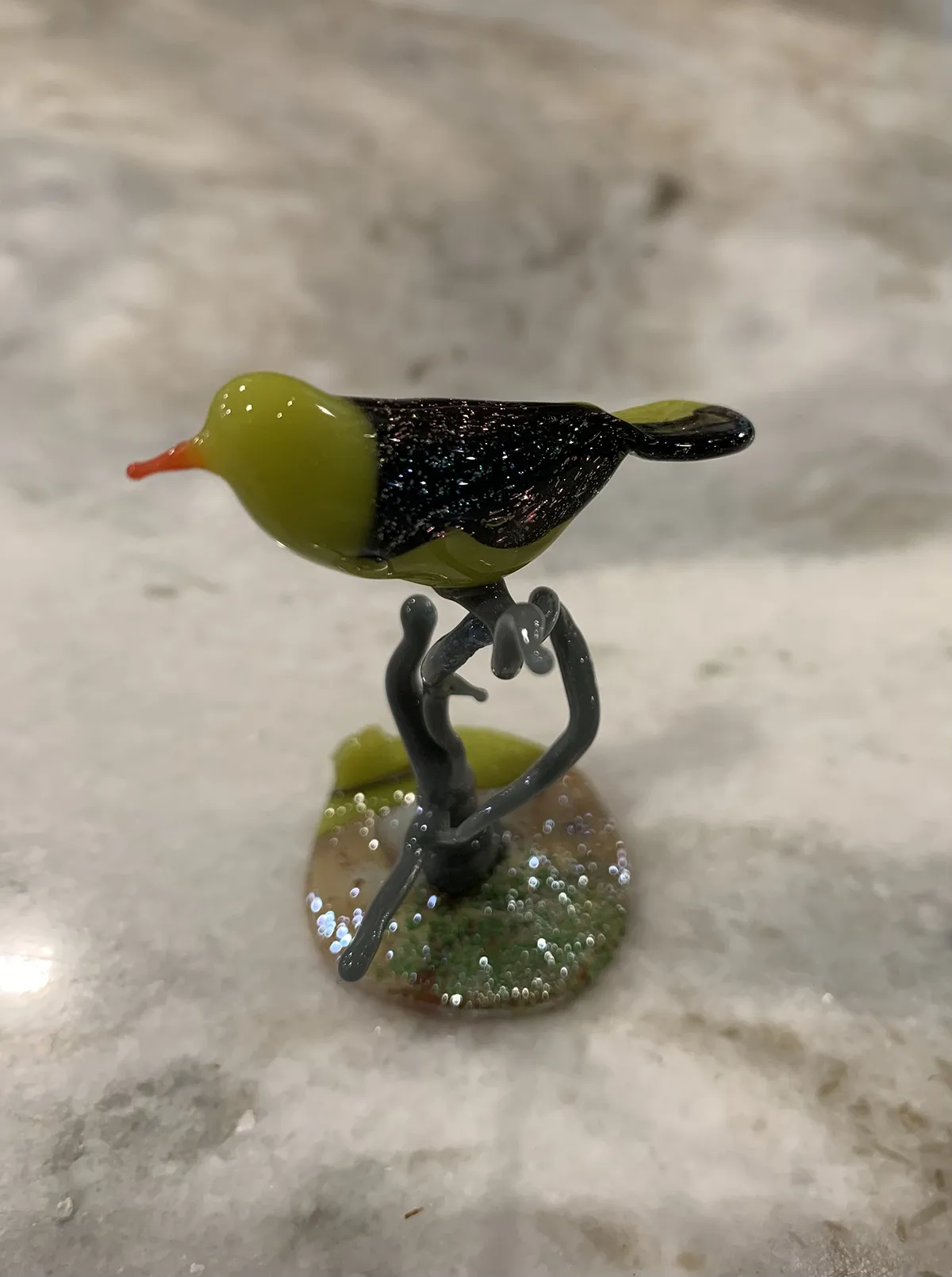 Bird on a Branch