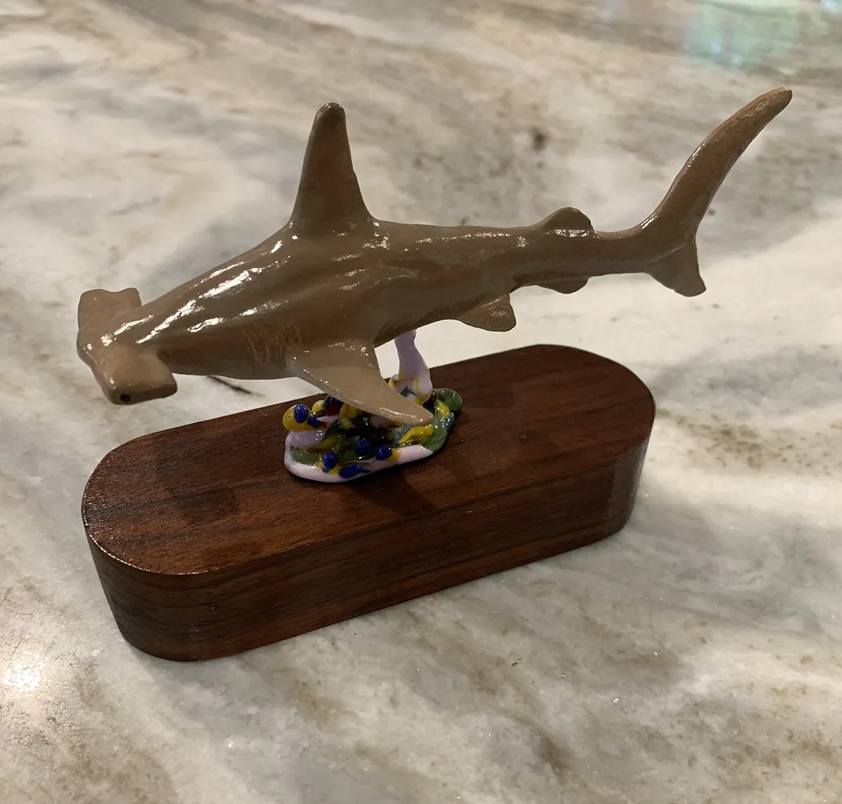 Hammerhead Shark